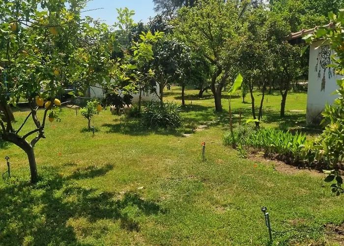 Sahmeran Kemer