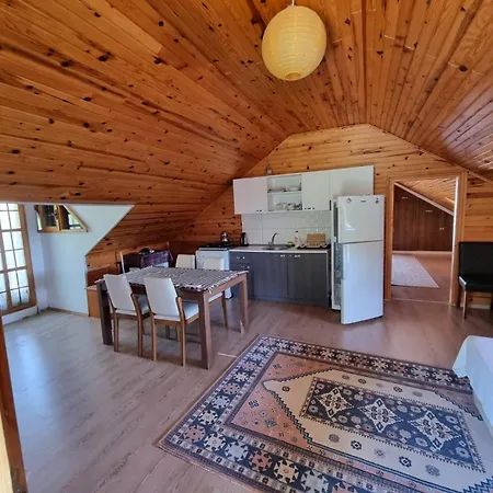 Отель Sahmeran *