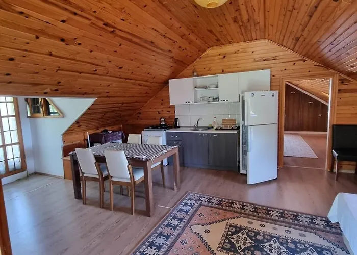 Отель Sahmeran *